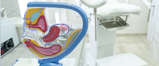Gynecologie__Obstetrique